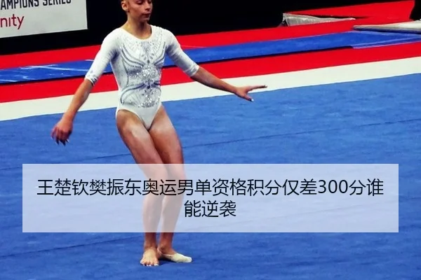 王楚钦樊振东奥运男单资格积分仅差300分谁能逆袭