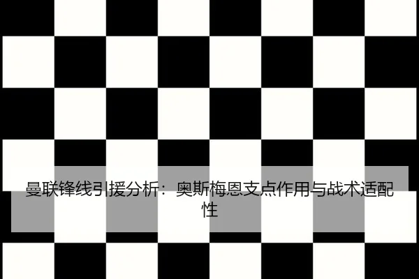 man-lian-feng-xian-yin-yuan-fen-xi-ao-si-mei-en-zhi-dian-zuo-yong-yu-zhan-shu-shi-pei-xing-2-819.jpg